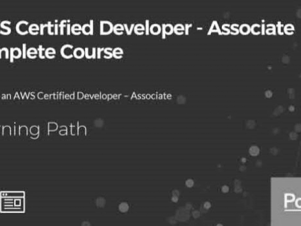 Exam AWS-Certified-Developer-Associate Score